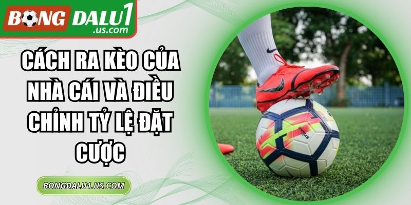 Cách Ra Kèo Của Nhà Cái